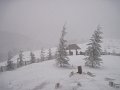 2012-01-07_11-31-37_-rp- IMG_0013